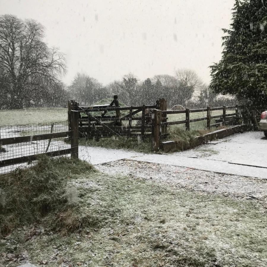Oak Lodge Tavistock  Dış mekan fotoğraf