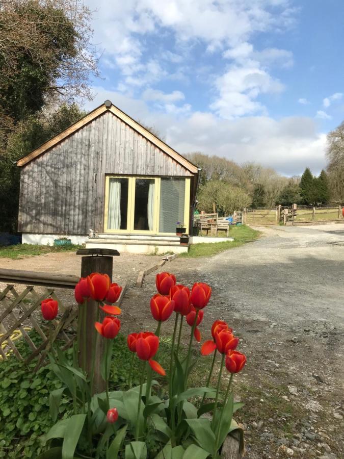 Oak Lodge Tavistock  Dış mekan fotoğraf